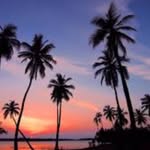 Corey Rosen - @rosencorey - Instagram