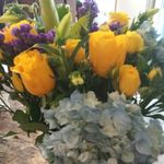 Corey Schaefer - @corey.schaefer1 - Instagram