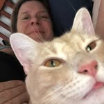 Corey Schultz - @coreyschultz5901 - Instagram