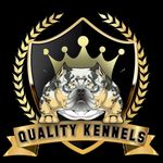 Corey Scott - @qualitykennels_llc - Instagram
