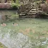 scott.ca - @corey.scott74 - TikTok