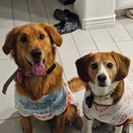 Corey Sherrill - @corey19017 - Instagram