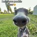 Cory Somers - Facebook
