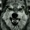 Corey Staples - @corey.staples4 - TikTok