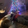 Corey Stock33 - @coreystock335 - TikTok