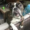 Corey Stockman - @corey.stockman - TikTok