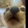 Coreyst_ - @coreystreet - TikTok
