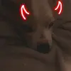 Corey lee Stuart - @coreylee209 - TikTok