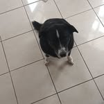 Corey Swanson - @coreyswanson.72 - Instagram