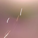 Corey Talbert - @corey.talbert.7 - Instagram