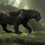 cory talbert - @cory_2_good - Instagram