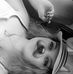 Corey Thomas - Facebook