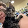 Corey Thornton - @corey.thornton59 - TikTok