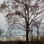 Corey - @mr_corey_towe - Instagram