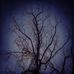 Corey Towe - Facebook