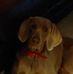 Corey Towe - Facebook