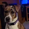corey grantham - @corey.grantham - TikTok