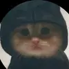coreyhwang411 - @coreyhwang411 - TikTok