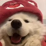 Corey Ware - @corey_fy - Instagram