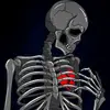 Corey Webb - @cw.junior_rebel - TikTok