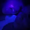 corey - @coreyweber2 - TikTok