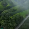 Corey Yang - @corey.yang1 - TikTok