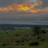 corey1young - @corey1young - TikTok