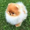 Gangaiah_Naidu - @corey.zieglerr - TikTok