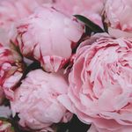 Cori Brown - @corijbrown - Instagram