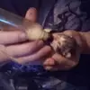 corinaroudybush - @corinaroudybush - TikTok