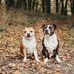 Corie Hebert - Facebook