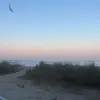 corinn - @corinn.carter - TikTok