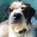 Corinn Tucker - Facebook