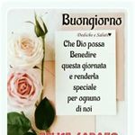 corina avram - @corinavram1957 - Instagram