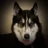 corinaedwards611 - @corinaedwards611 - TikTok