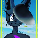 Corina the fox - @corina_the_fox - Instagram