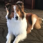 Corina Goodrich - @corinagoodrich - Instagram