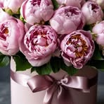 Corina Lungu - Facebook