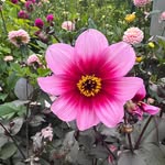 Corina Lungu Iordan - @mama_is_mama - Instagram