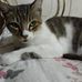 Corina Parra - Facebook