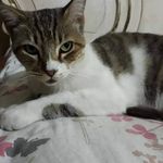 Corina Parra - @corina.parra.108 - Instagram