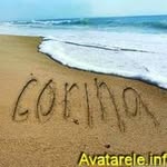 Corina Stan - @corina.stan.771 - Instagram