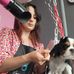 Canin Canine - Facebook