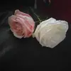 corina - @corinnalopez995 - TikTok