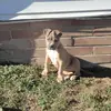 Corinna_Moore911 - @corinna_moore911 - TikTok
