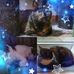 Corinna Simon - Facebook
