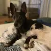 corinnasimon5 - @corinnasimon5 - TikTok