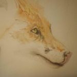 Corinne Alexander - @intellectualartifice - Instagram