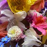 Corinne - @corinnebaker72 - Instagram