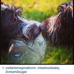 Corinne Baker - @cedarismegmailcom - Instagram